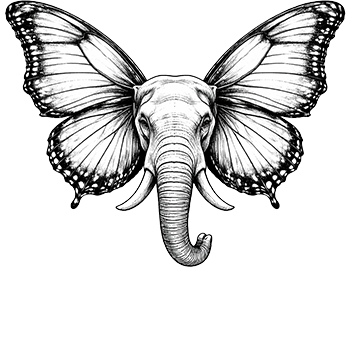 Bhazar